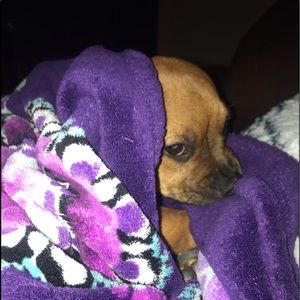 Meet your Posher, Linzi